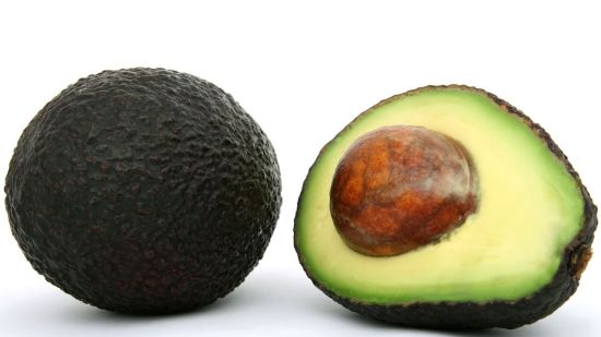 Plantar un hueso de aguacate paso a paso