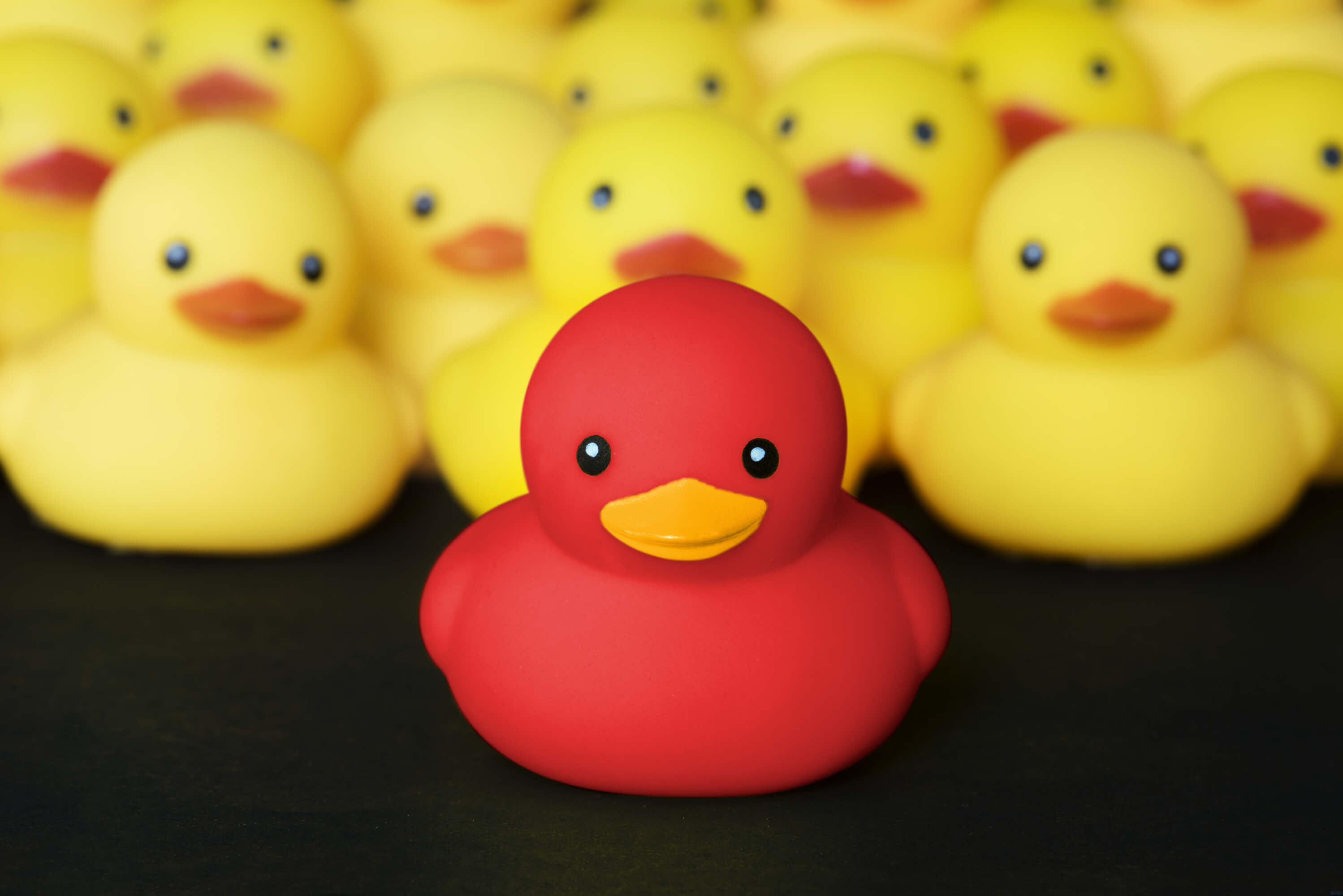 El cuento del patito feo