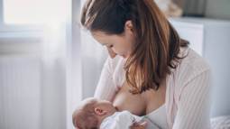 istockphoto-1204271480-612x612