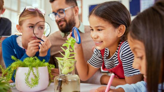 ¿Cómo explicar a los niños qué es la fotosíntesis? - Fuente: iStock