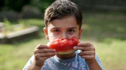 Los peores y mejores alimentos para niños con TDAH