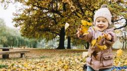 Cuentos sobre el otoño para niños