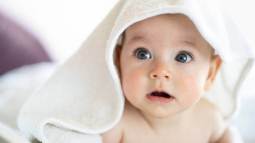 istockphoto-1395666422-612x612