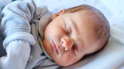 istockphoto-1990651289-612x612