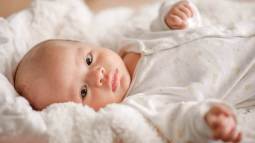 istockphoto-1141587871-612x612