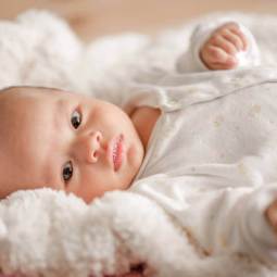 istockphoto-1141587871-612x612