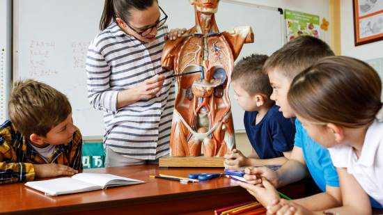 Los músculos del cuerpo humano explicados para niños - Fuente: iStock