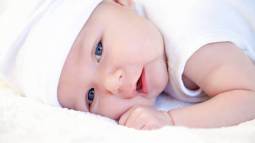istockphoto-611315006-612x612