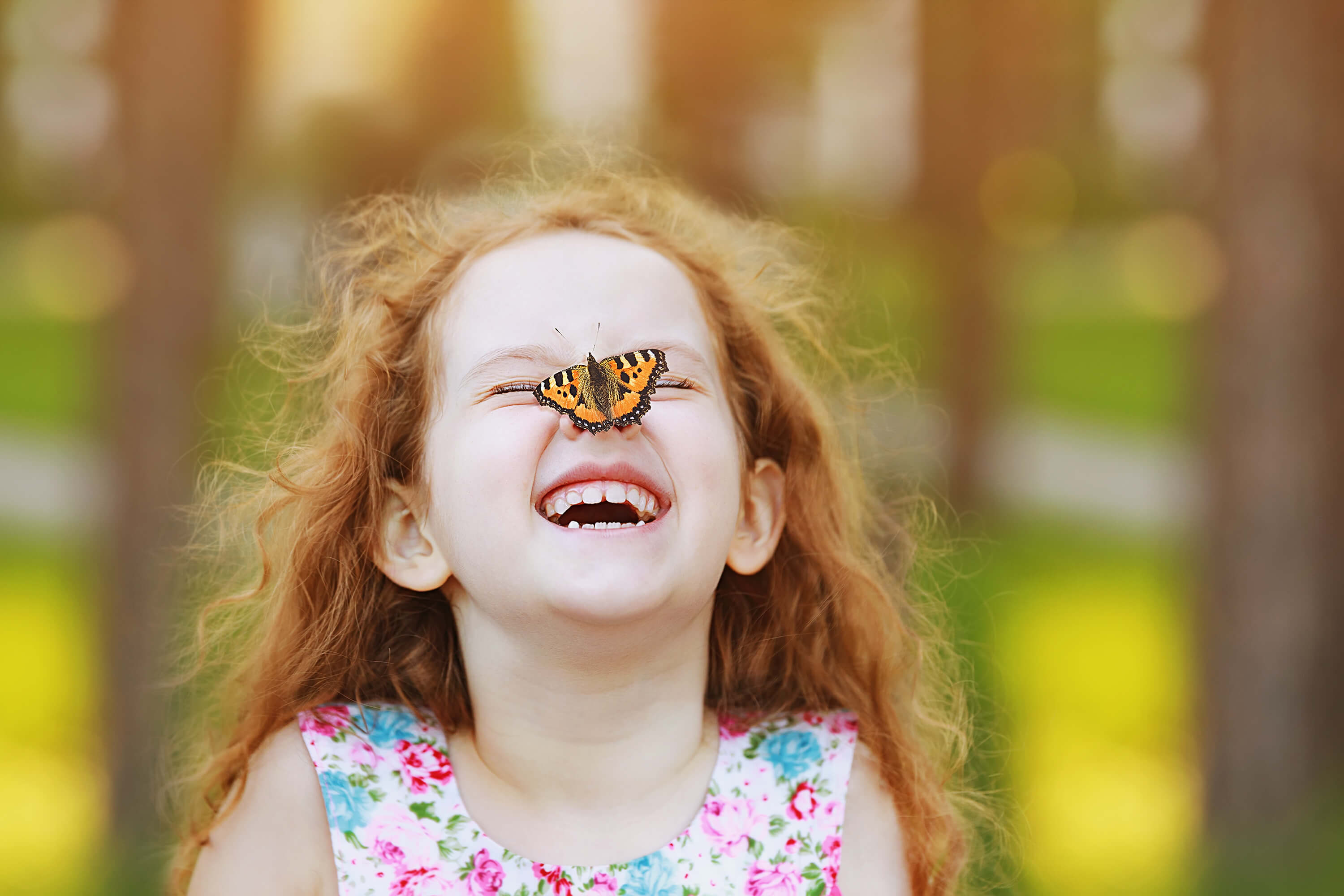 Los animales invertebrados explicados para niños