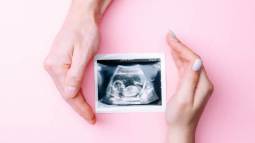 istockphoto-1404767495-612x612