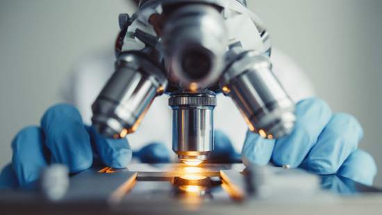 Divulgar sobre la ciencia de la salud es primordial para una sociedad mejor.