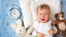 iStock-505208424