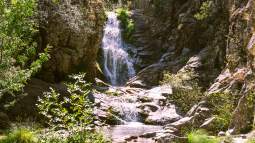 Excursiones con niños cerca de Madrid