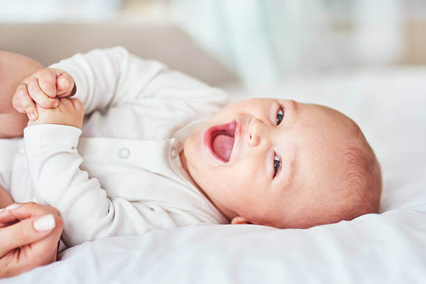istockphoto-519623186-612x612