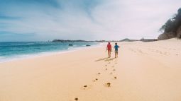 iStock-918992244