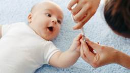 iStock-611867958