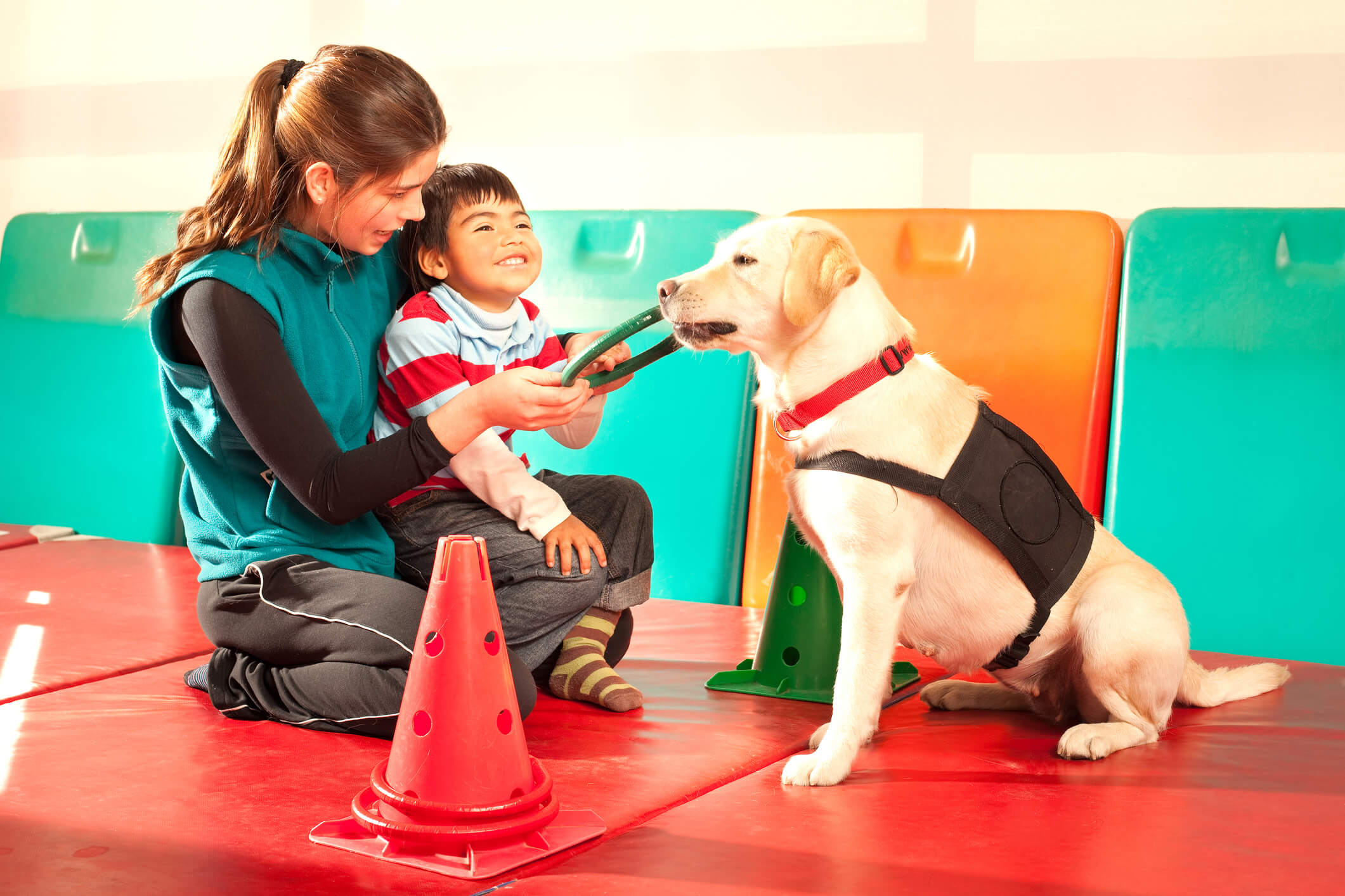 iStock-1311449373
