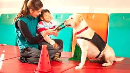 iStock-1311449373
