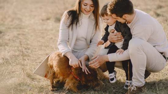 11 lugares en España para viajar con niños y mascotas
