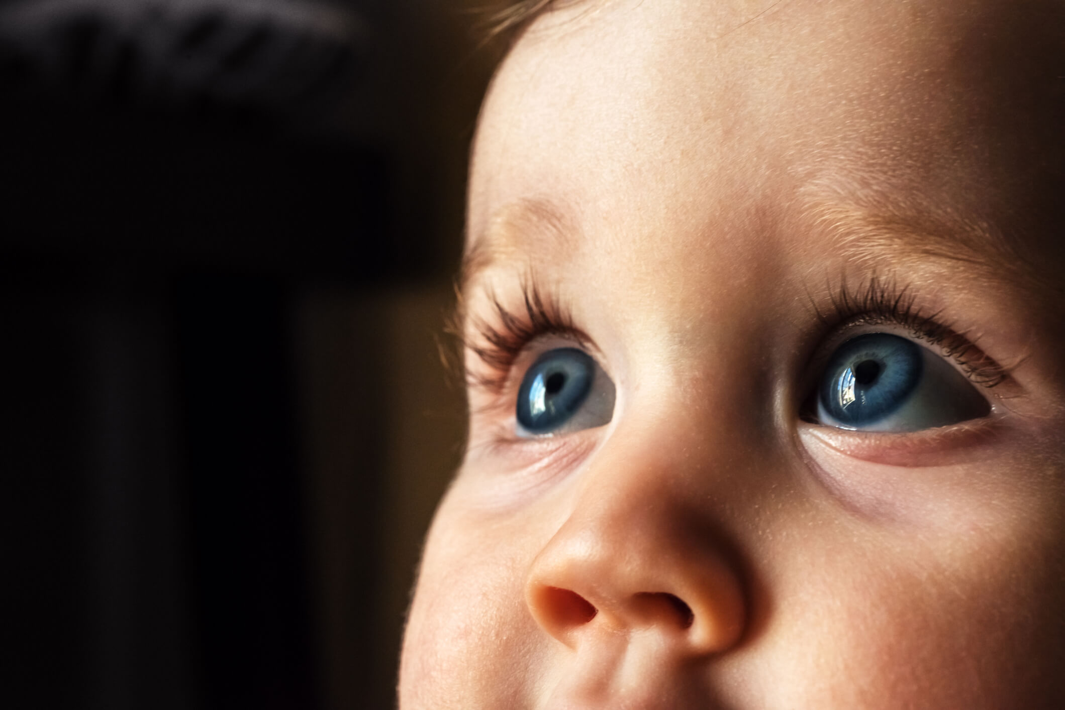 iStock-1082408616