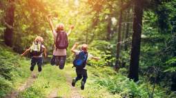 iStock-688110568
