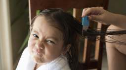 iStock-515199274