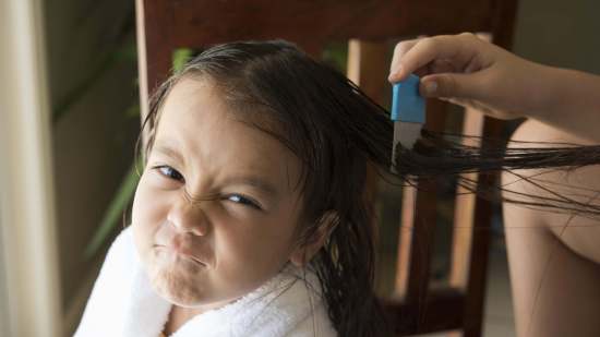 iStock-515199274