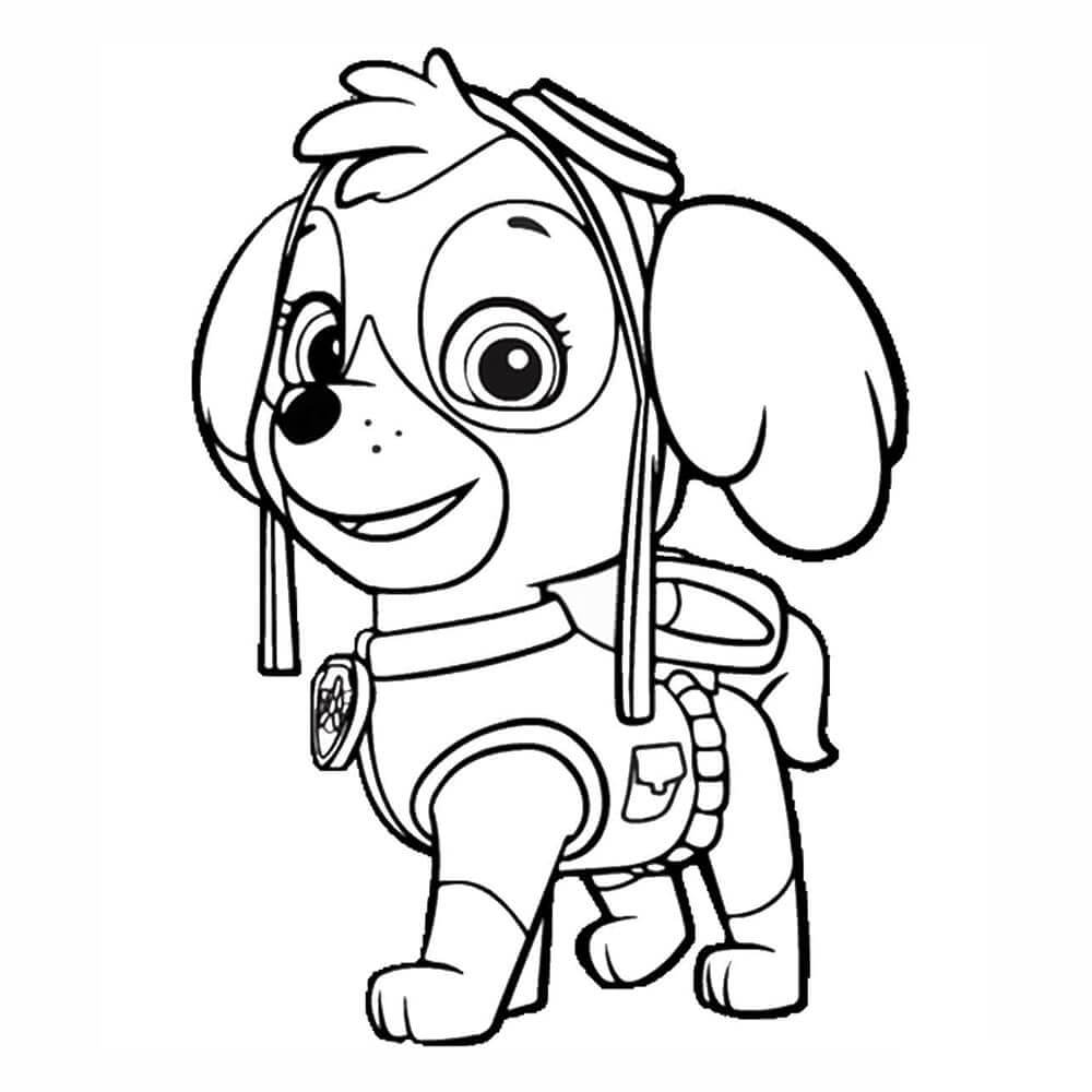 Dibujo-colorear-La-Patrulla-Canina-Skye