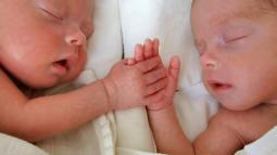 iStock-912447262