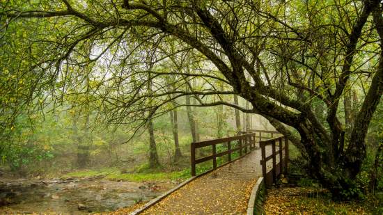 Visitar el Parque Natural del Montseny con niños