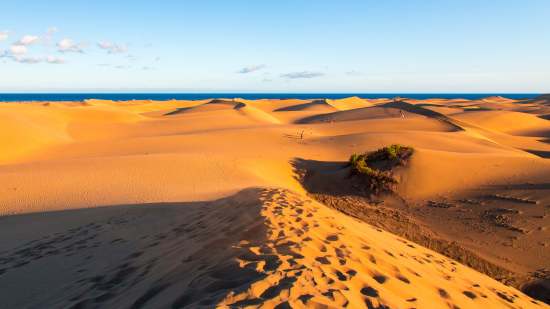 closeup-maspalomas-dunes-gran-canaria-island