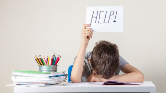 Un niño pide ayuda con los estudios