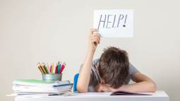 Un niño pide ayuda con los estudios