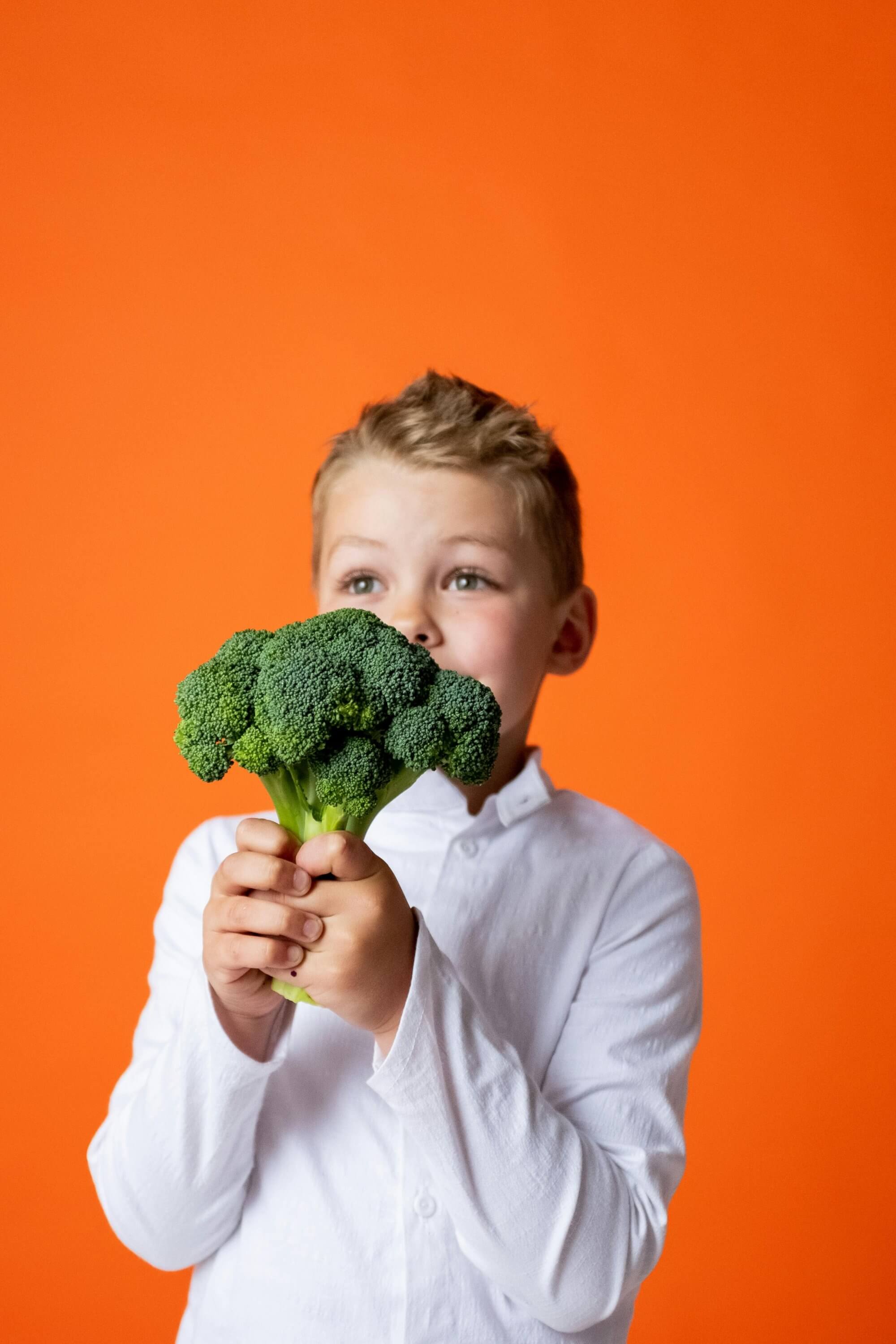 ¿Es arriesgado para la salud de un niño ser vegano?