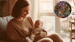 nuevo tratamiento de fertilidad