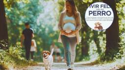 tener un perro durante el embarazo