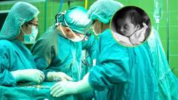proyecto internacional para combatir infecciones en embarazadas y lactantes