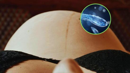 no es el padre biológico de su hija