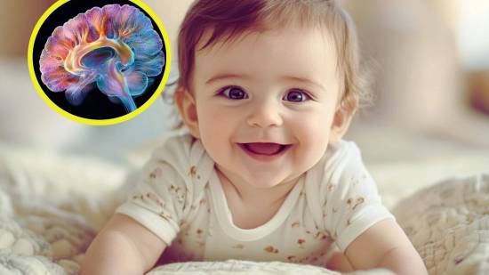 El cerebro de un niño con una malformación congénita desde el nacimiento es capaz de adaptarse a nivel sensorial