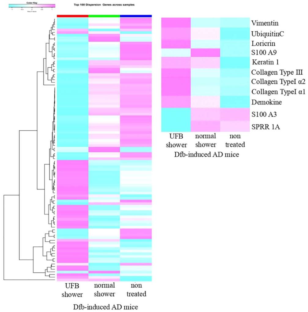 Resultado de la secuenciación de ARN de una muestra de cada uno de los tres grupos. Las proteínas que intervienen en la función barrera de la piel aumentaron en los ratones tratados con la ducha UFB (fuente: Frontiers in Immunology)