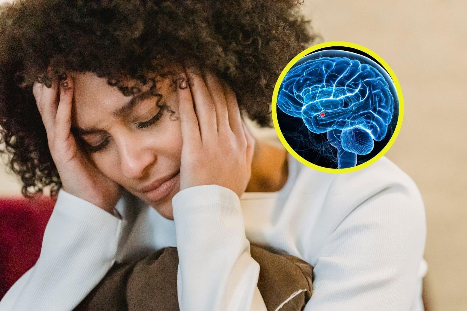 Las modificaciones en el hipocampo y la amígdala podrían ayudar a entender mejor la salud mental materna