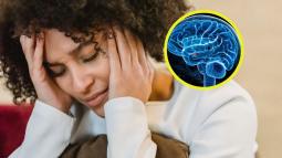 Las modificaciones en el hipocampo y la amígdala podrían ayudar a entender mejor la salud mental materna