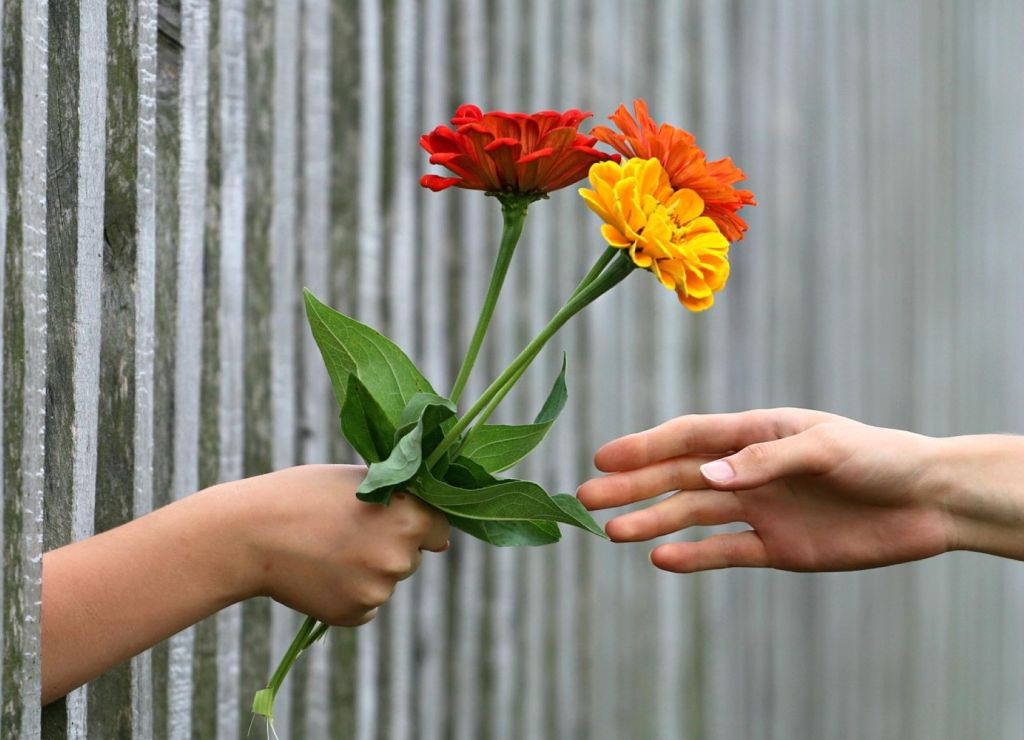 Dos personas intercambiando flores