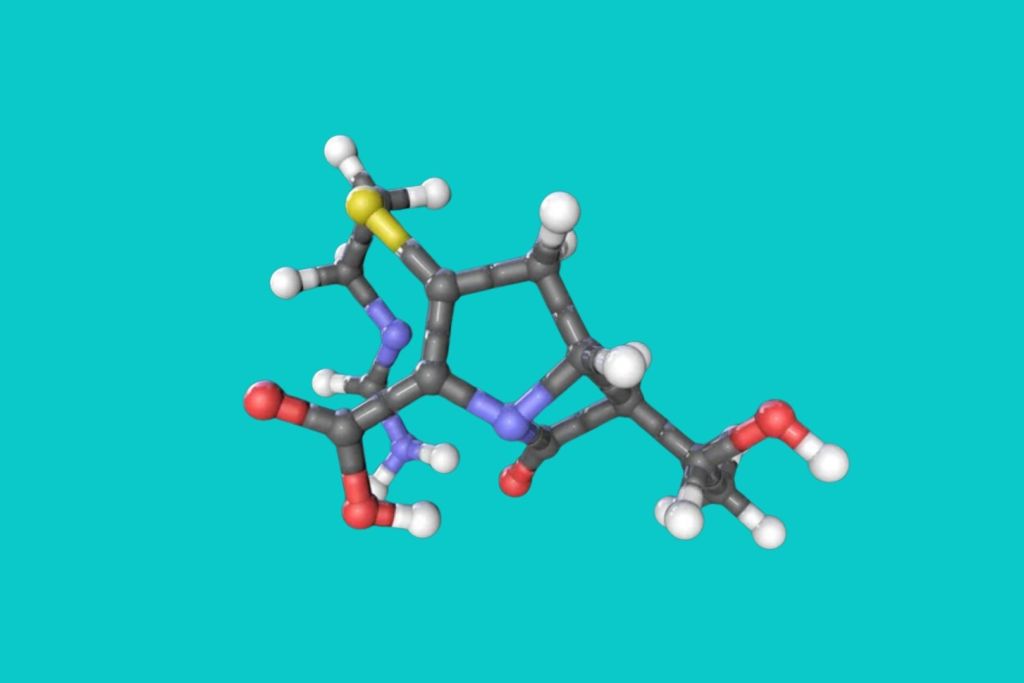 El medicamento aumenta la producción de una proteína clave para la supervivencia de las neuronas motoras, previniendo la degeneración muscular antes del nacimiento