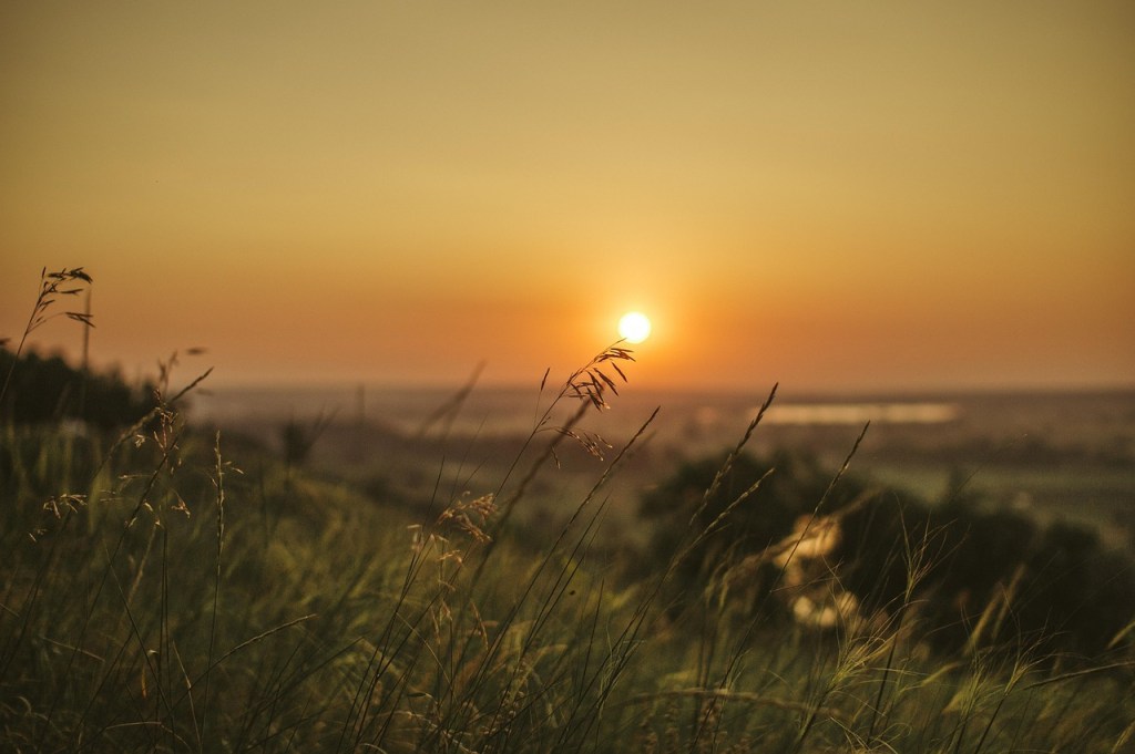 Puesta de sol en el campo