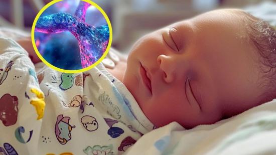España avanza en la investigación y desarrollo del cribado genómico neonatal