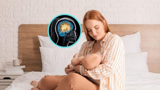 Así es cómo tu cerebro reorganiza su funcionamiento metabólico durante la lactancia para asegurar la producción de leche, según la ciencia