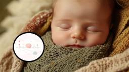 Bebé recién nacido y línea temporal del cerebro infantil