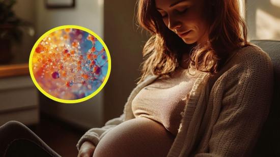 Un estudio demuestra que la preeclampsia tiene dos orígenes posibles y desarrolla una prueba de predicción del riesgo