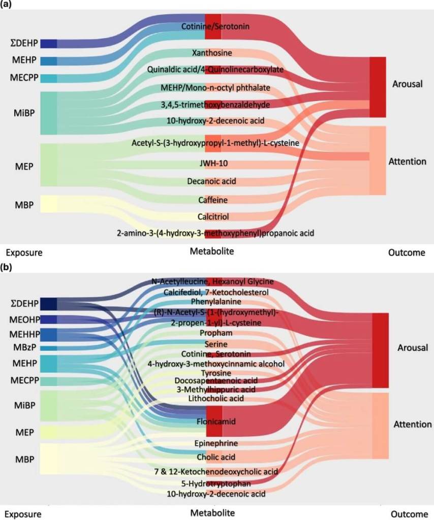 Gráfico estudio